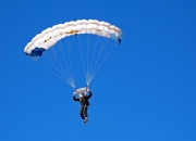 包含詹姆斯复出首秀出彩，北京首钢主场横扫曼城，豪取15连胜的词条