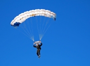 包含詹姆斯复出首秀出彩，北京首钢主场横扫曼城，豪取15连胜的词条